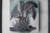 “disegno (fenice)”