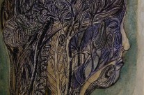 “della Veronica”