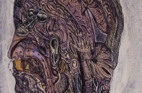 “della Veronica”