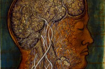 “della Veronica”